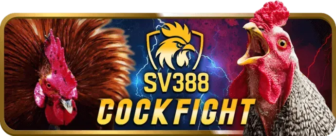 Ưu đãi độc quyền cho thành viên VIP an99